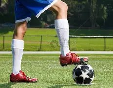 成都儿童篮,球训练营,B体育,B体育平台,B体育官方网站,B体育登录入口,B体育app下载