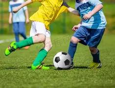 史特加战绩,辉煌,挑战未尝败,B体育平台,B体育官方网站,B体育登录入口,B体育app下载