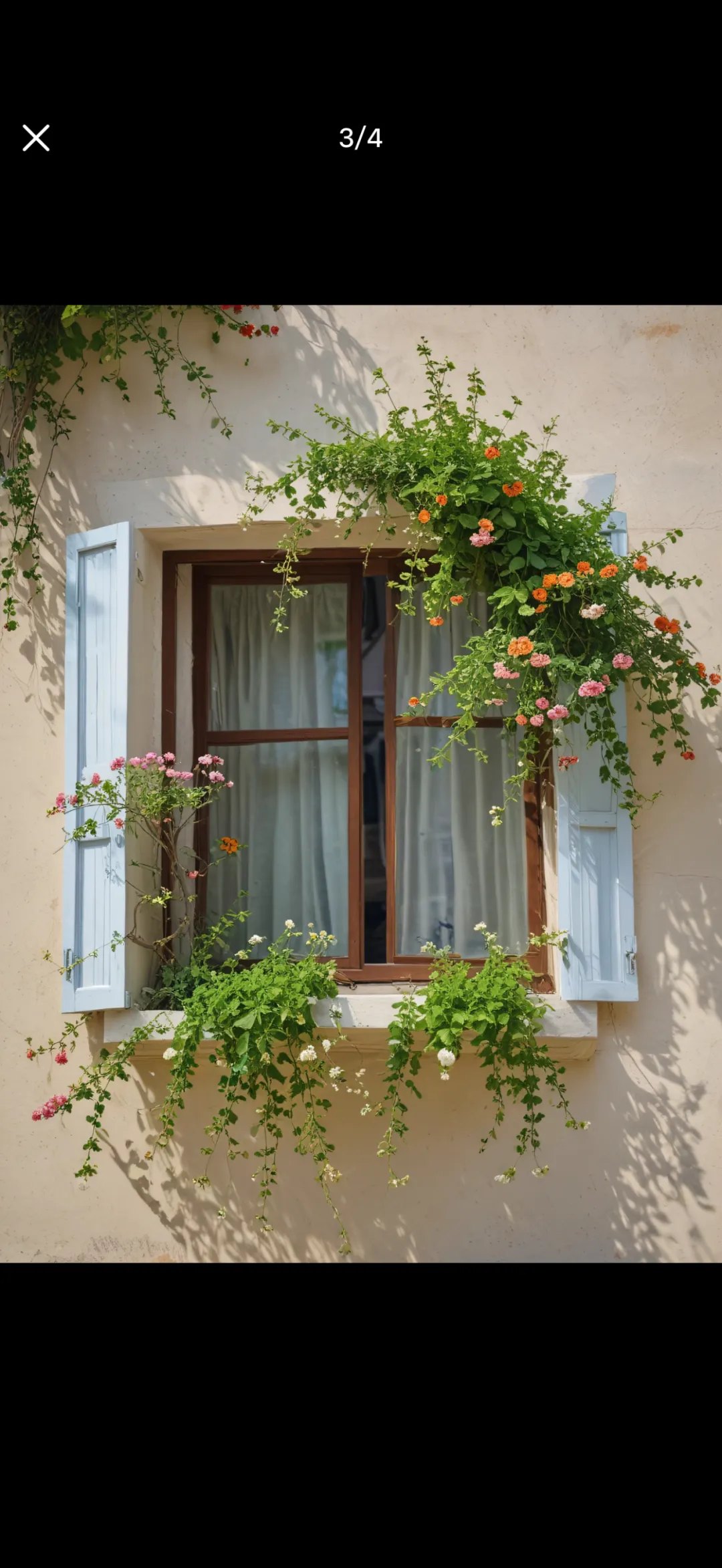 墨西哥美洲,蓝十字,墨西联专家,B体育平台,B体育官方网站,B体育登录入口,B体育app下载