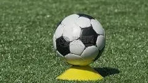 谢霆锋原创作品见证，张柏芝特殊举动阅兵日口碑逆袭