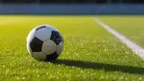 B体育 资讯 130344 fqg