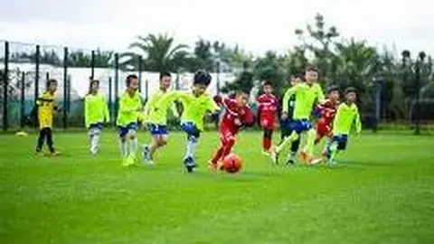 B体育 资讯 105631 9px